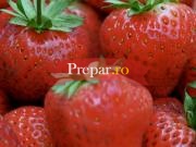 Capsuni gratinate